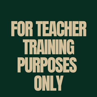 Trainee Teacher 
